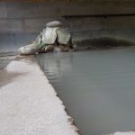 鹿児島の温泉　南州館