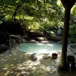 私が入浴をした白濁湯の温泉 5選