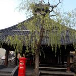 【城崎温泉 駅舎温泉 さとの湯】自然回帰のふれいの湯