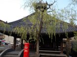 【城崎温泉 駅舎温泉 さとの湯】自然回帰のふれいの湯