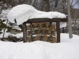 【鬼首温泉 吹上温泉 峯雲閣】滝と川が温泉の吹上沢大湯滝は混浴
