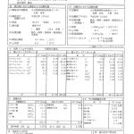 温泉分析書　別府市おぐら荘泉源