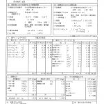 温泉分析書　竹田温泉　花水月