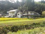 【平山温泉 すやま温泉】立派な藤棚のある温泉旅館