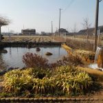 【松本自噴公園】池だけの公園