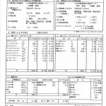 川島　広子邸宅