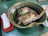 【熊本県 天草 下田温泉 伊賀屋旅館】宿泊体験記 お食事
