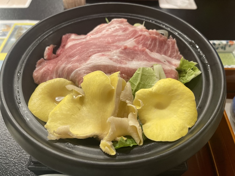 人吉温泉 人吉旅館