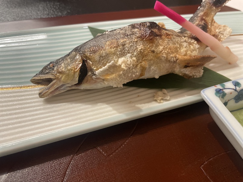 人吉温泉 人吉旅館