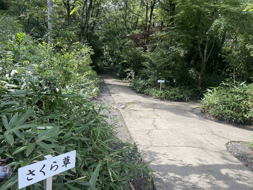 麻生釣温泉 亀山の湯