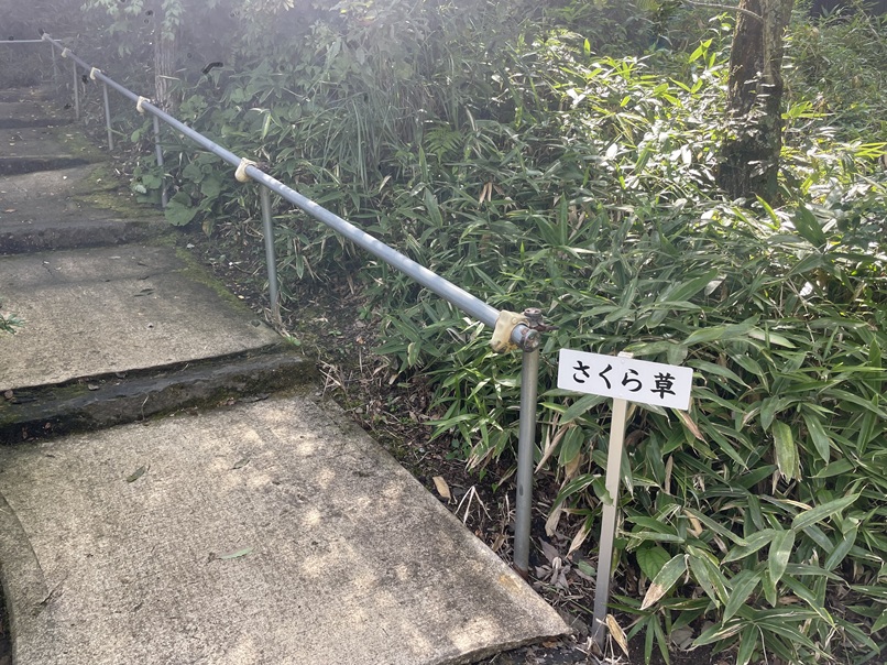 麻生釣温泉 亀山の湯